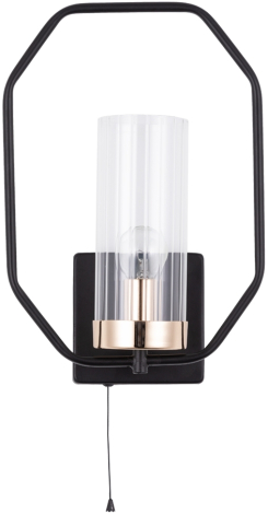 Настенный светильник Arte Lamp CELAENO A7004AP-1BK